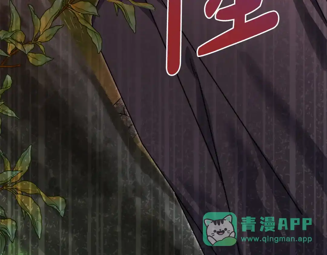 第186页