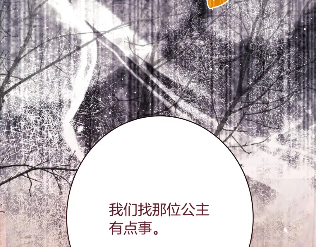 第207页