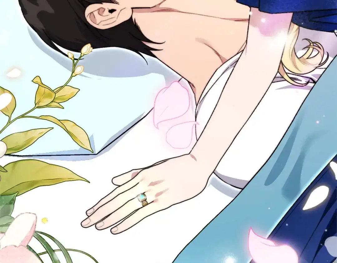 第213页