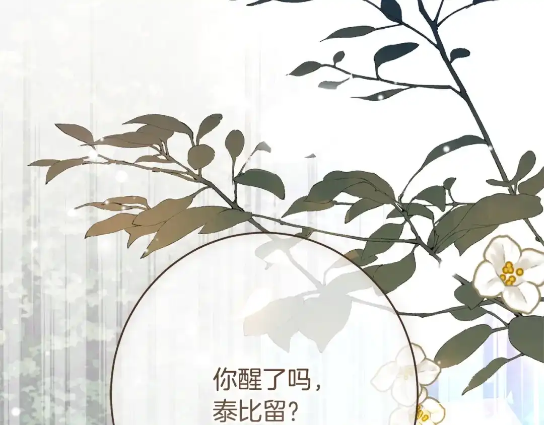 第207页