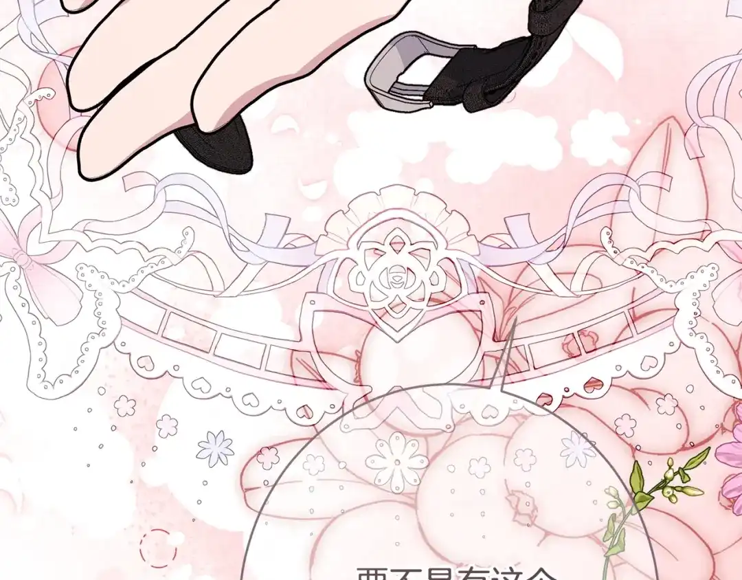 第217页