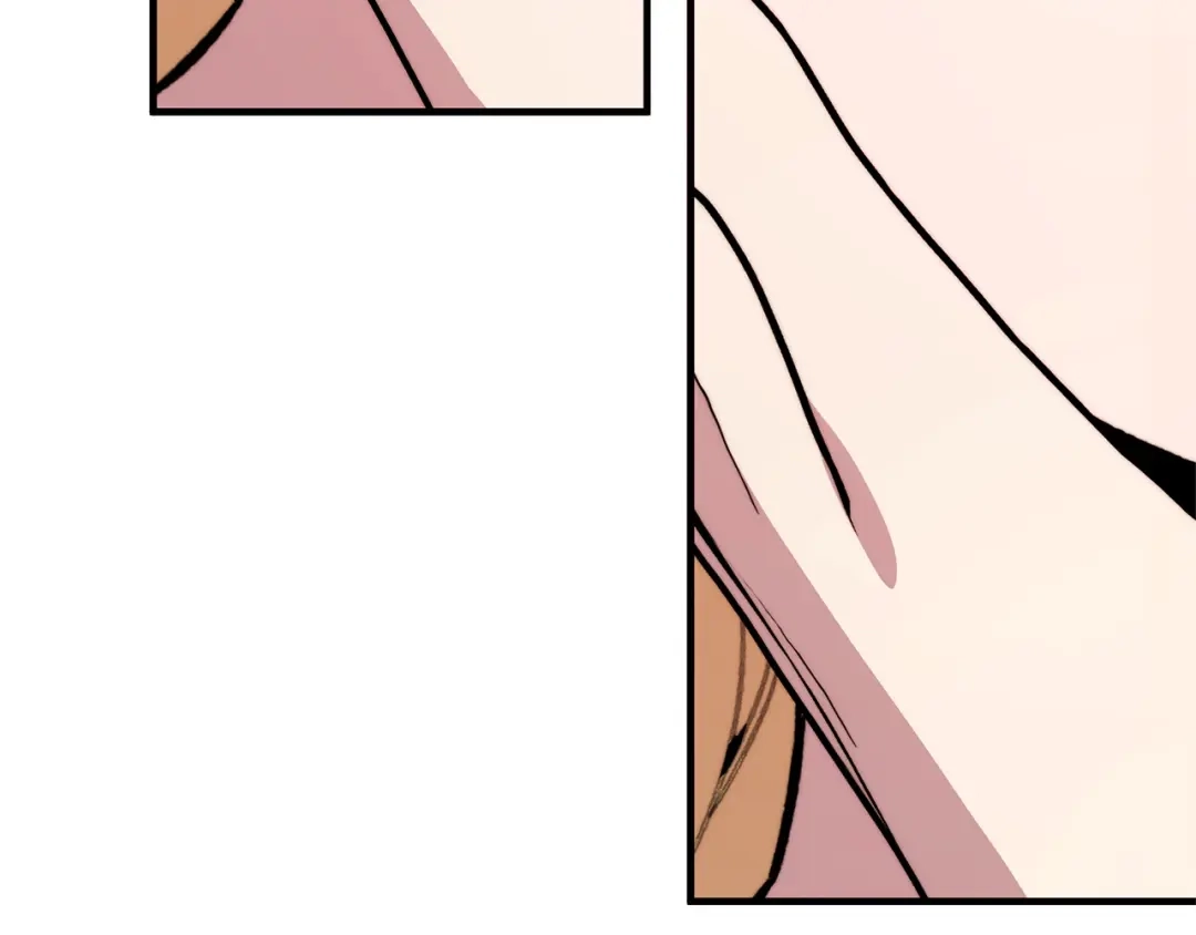 第224页
