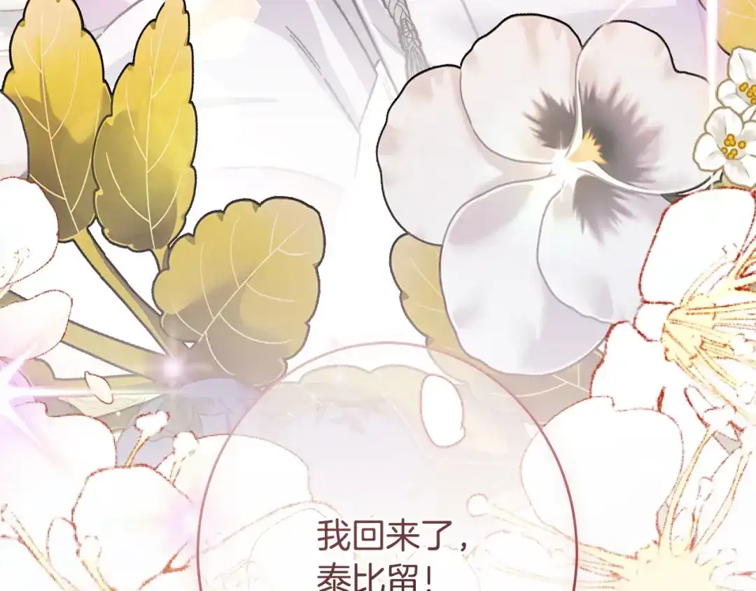 第241页