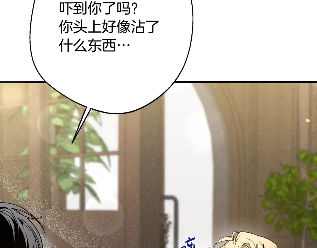 第184页