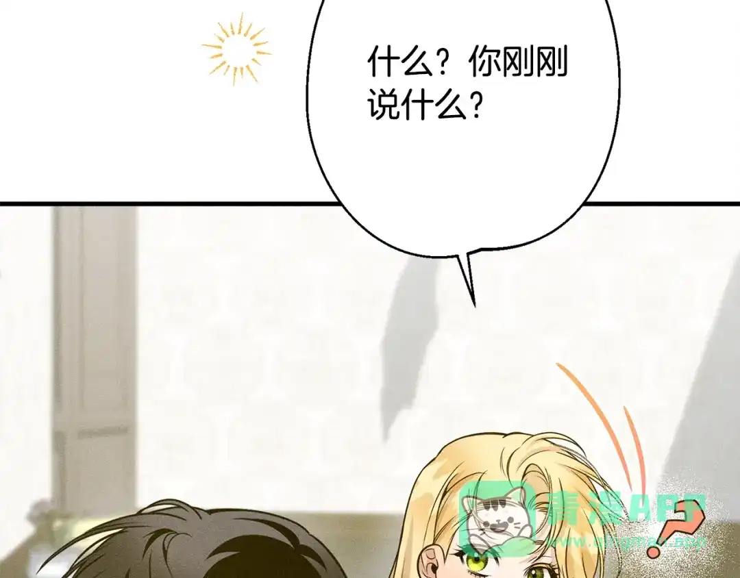 第241页
