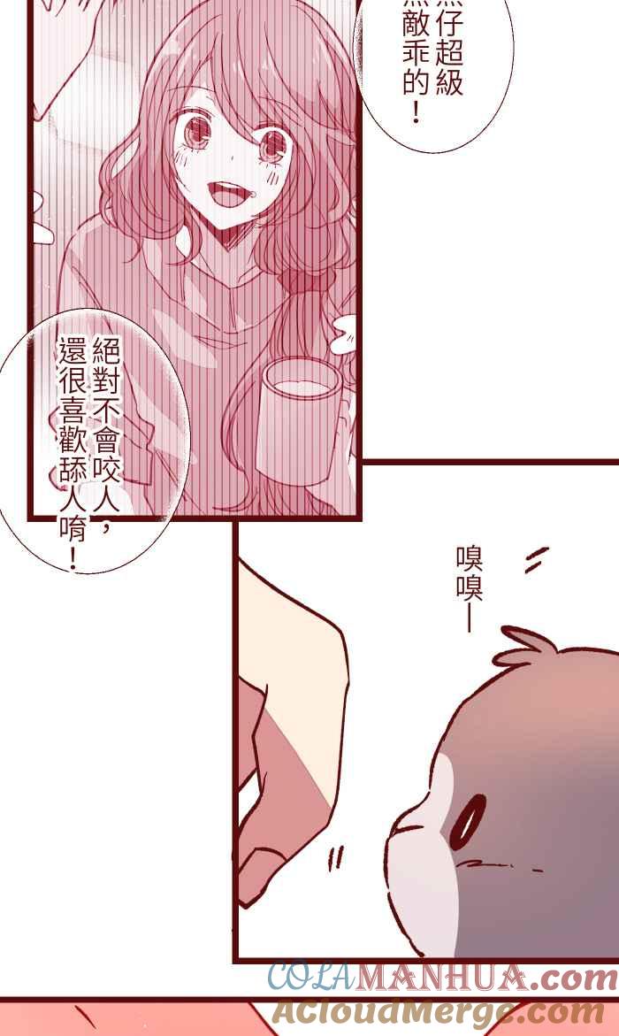 第55页