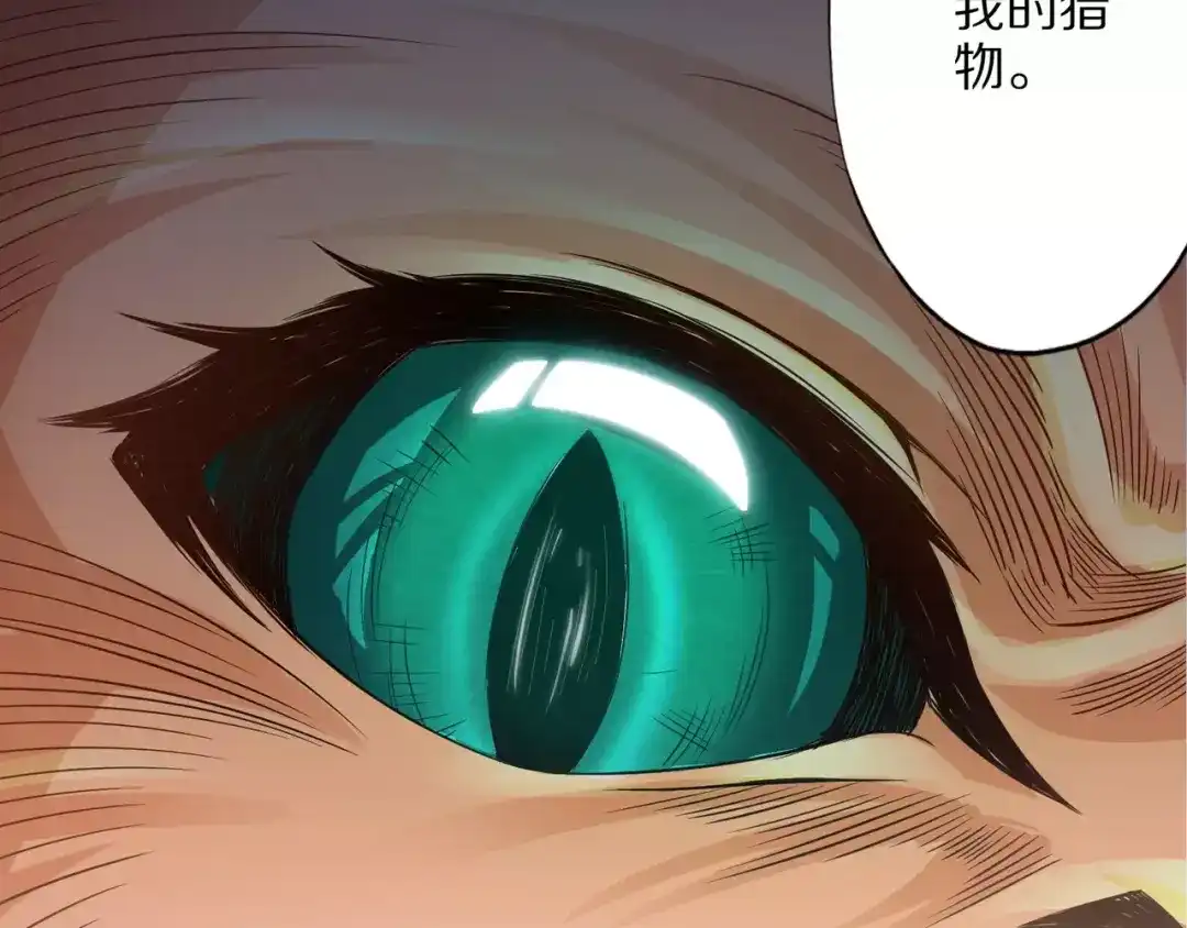 第205页