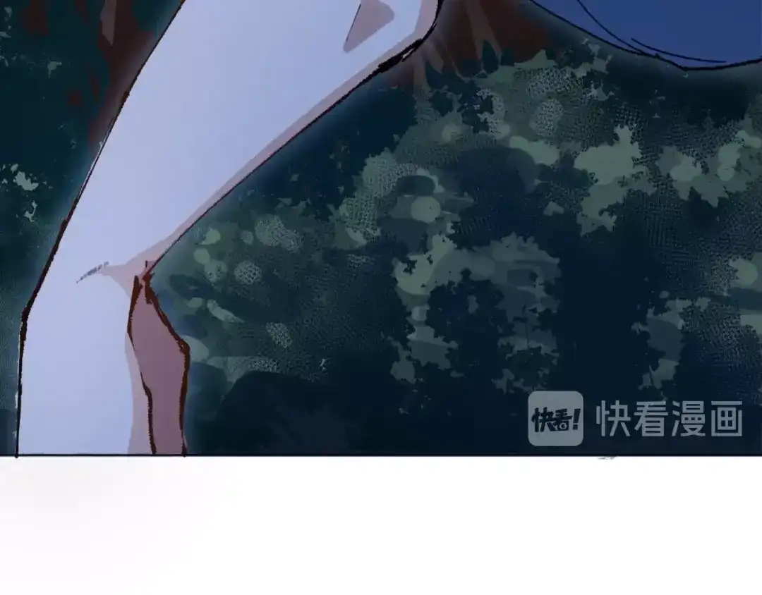 第241页