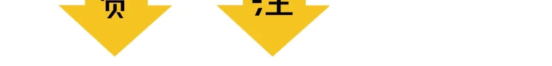 第313页