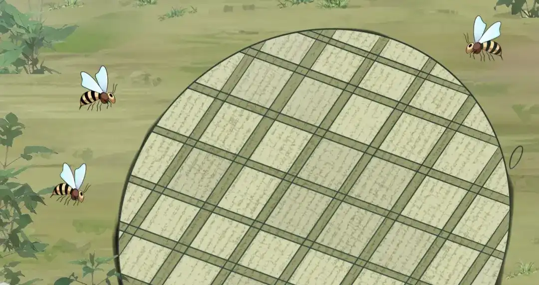 第102页