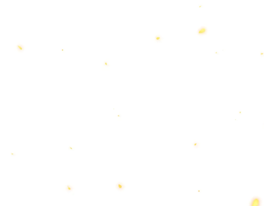 第191页