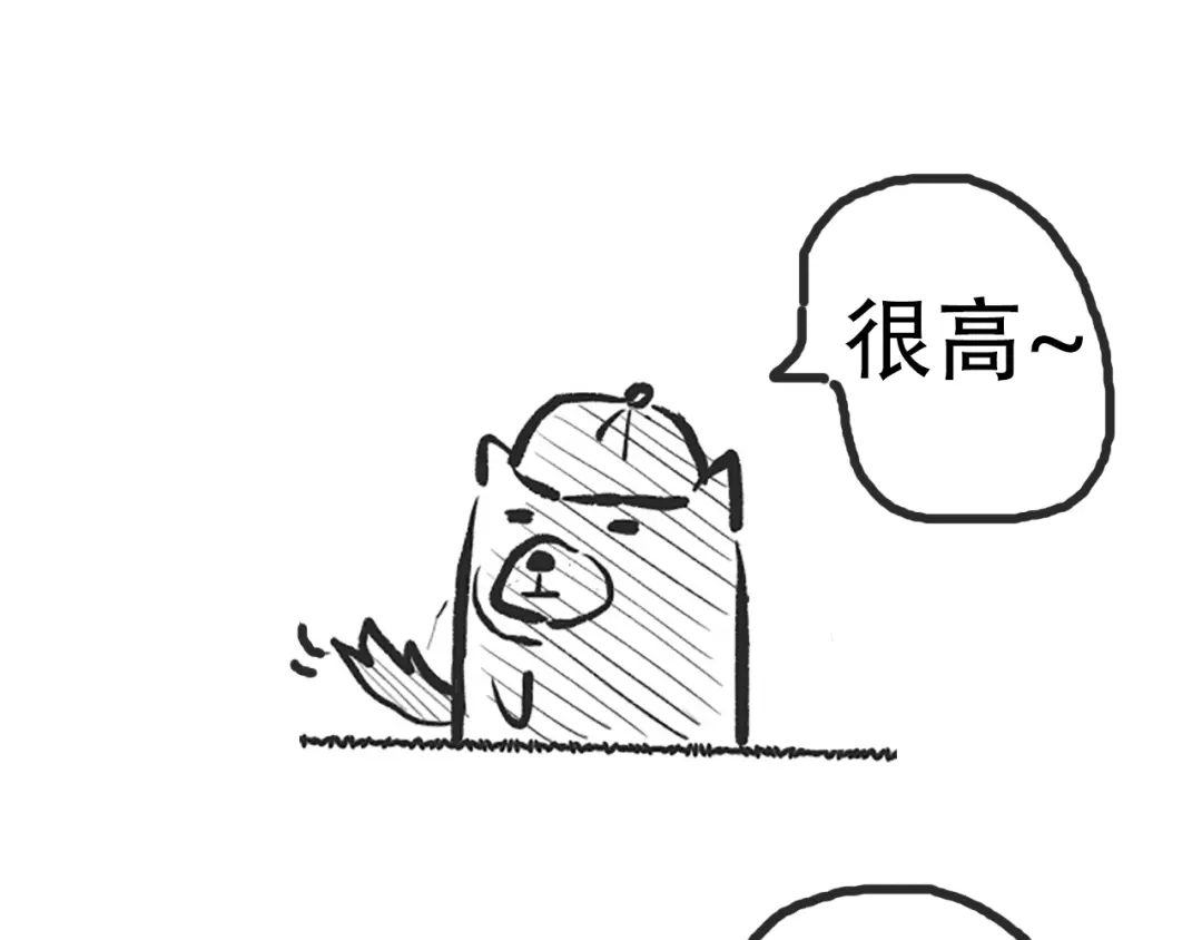 第205页