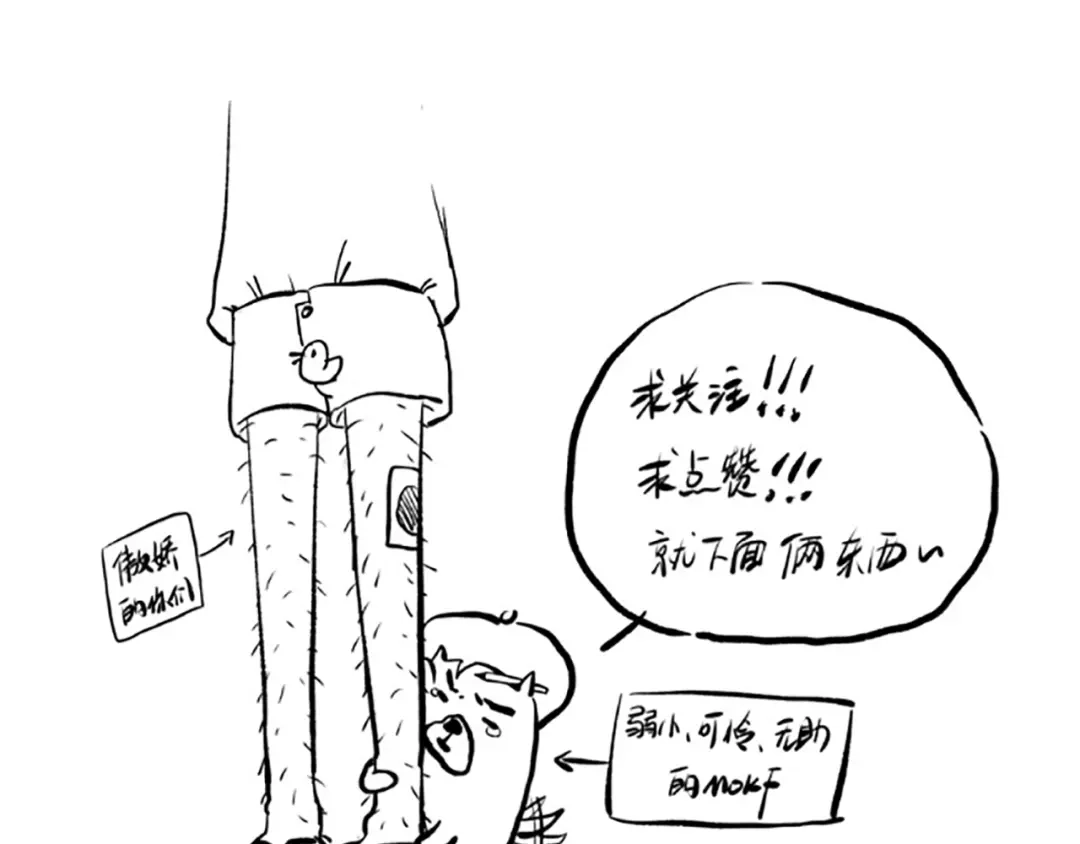 第208页
