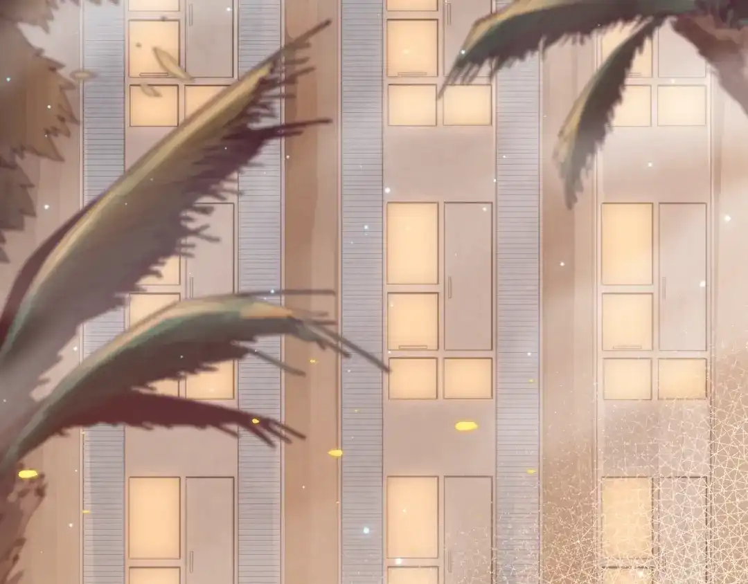 第208页