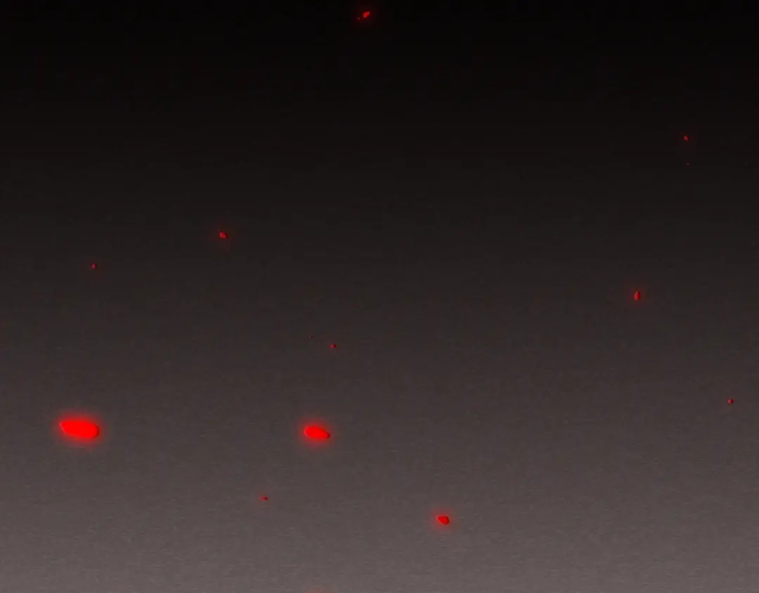 第176页