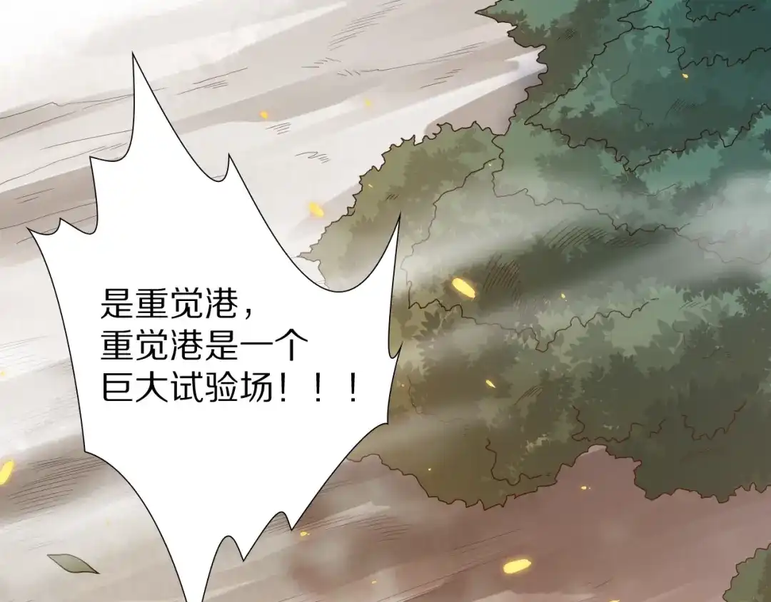 第204页