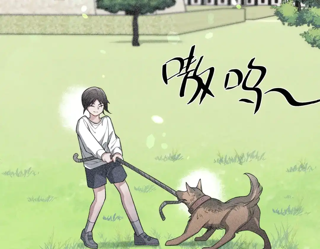 第47页