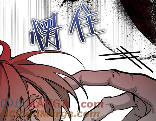 第205页
