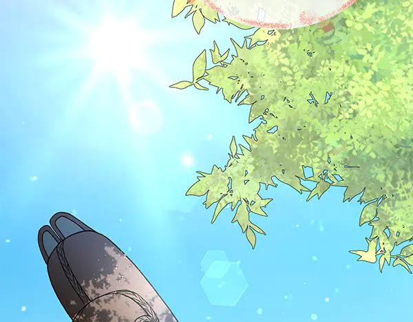 第215页