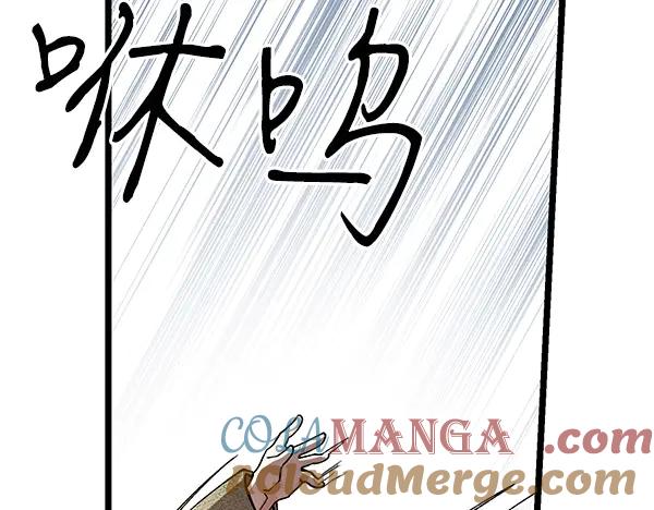 第205页