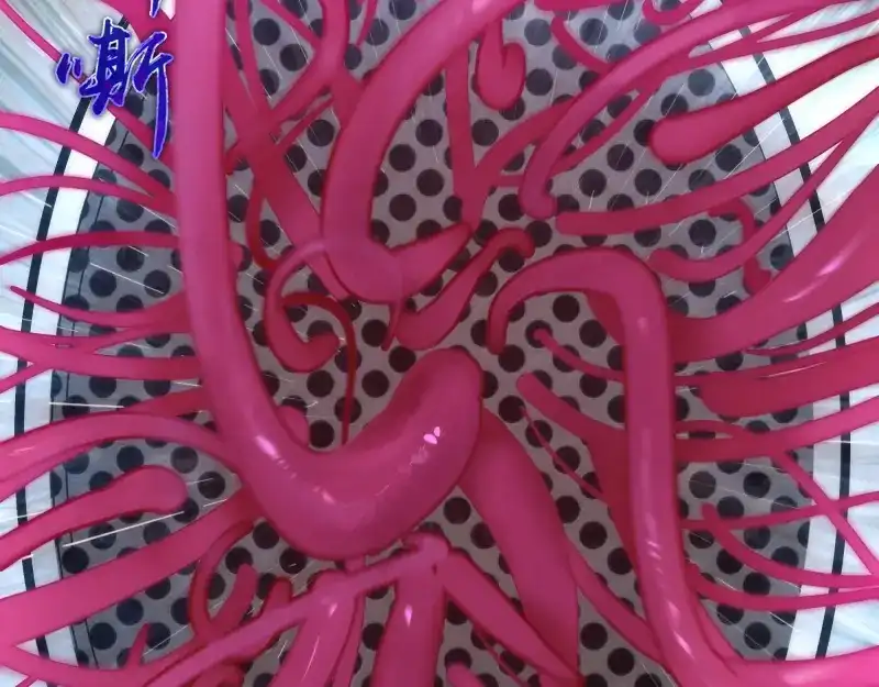 第208页