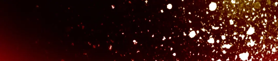 第175页