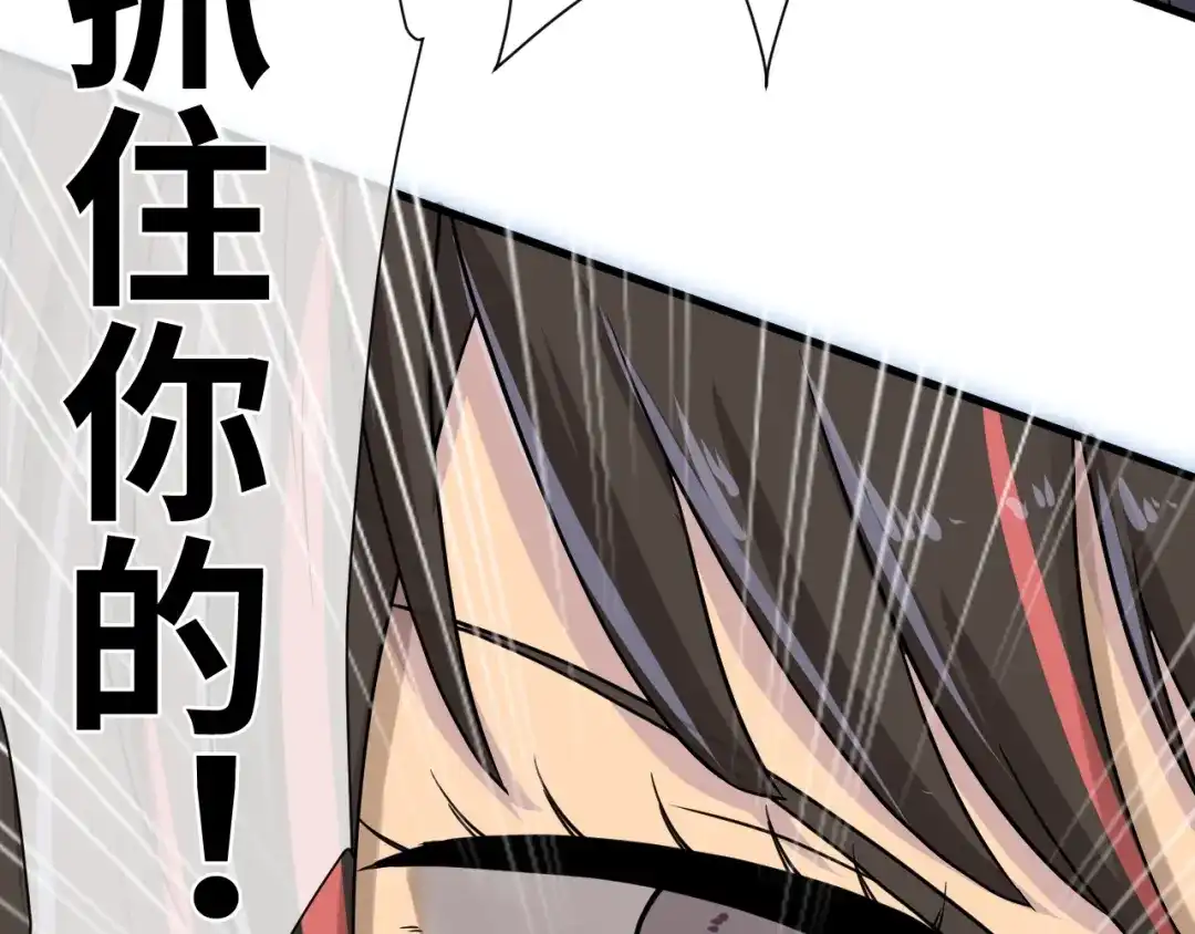 第223页