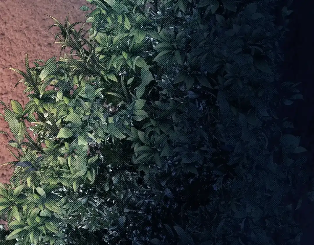 第137页