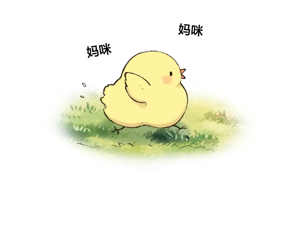 第47页