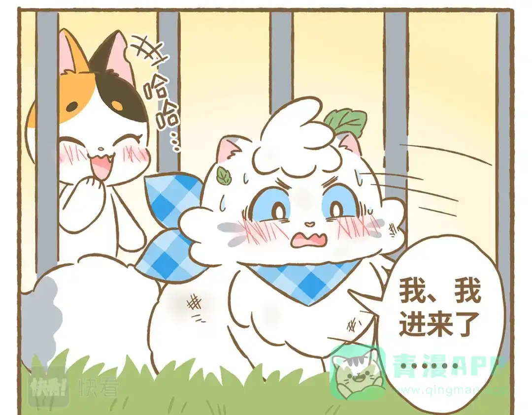 第36页