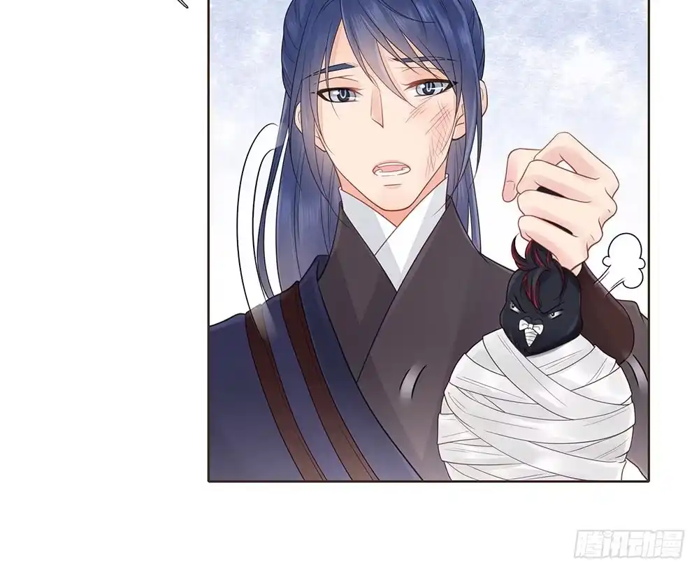 第75页
