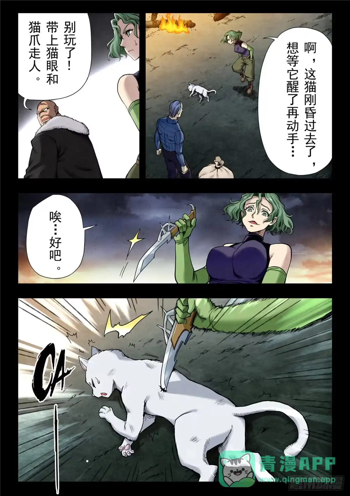 第11页