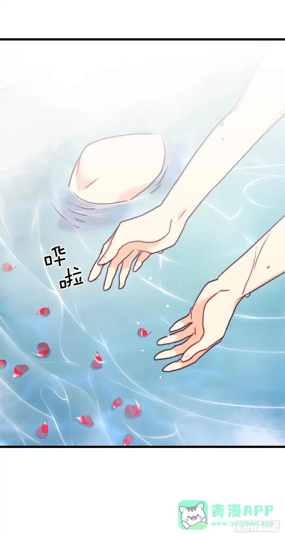 第243页