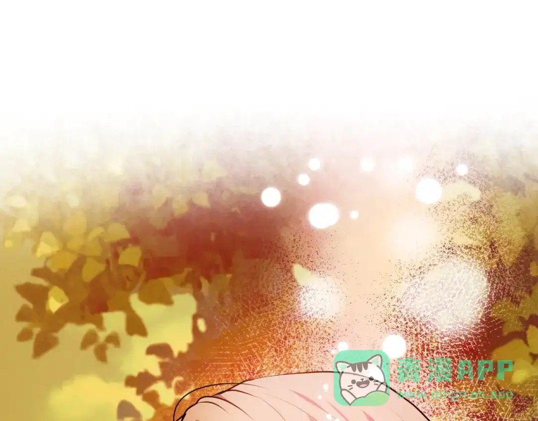 第196页