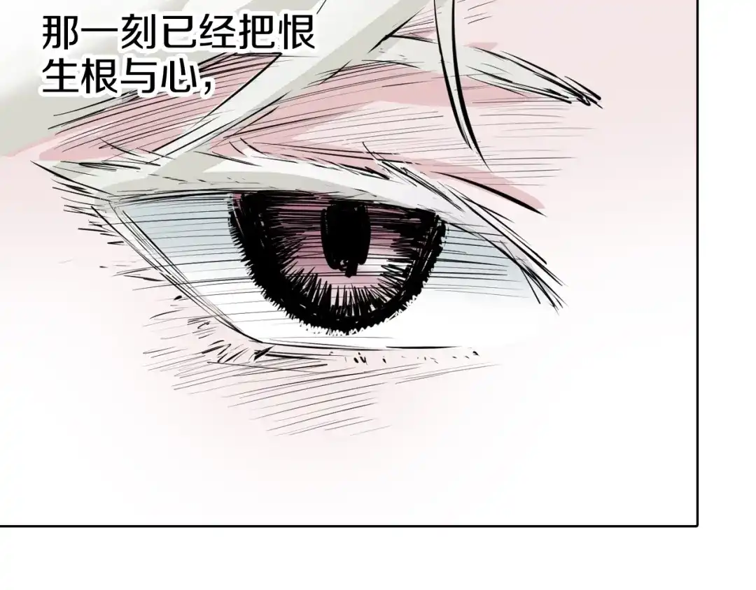 第224页