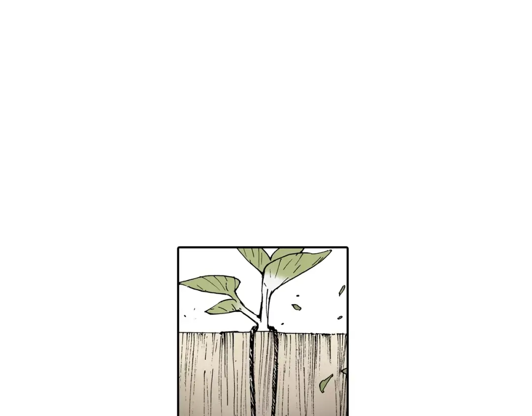 第187页