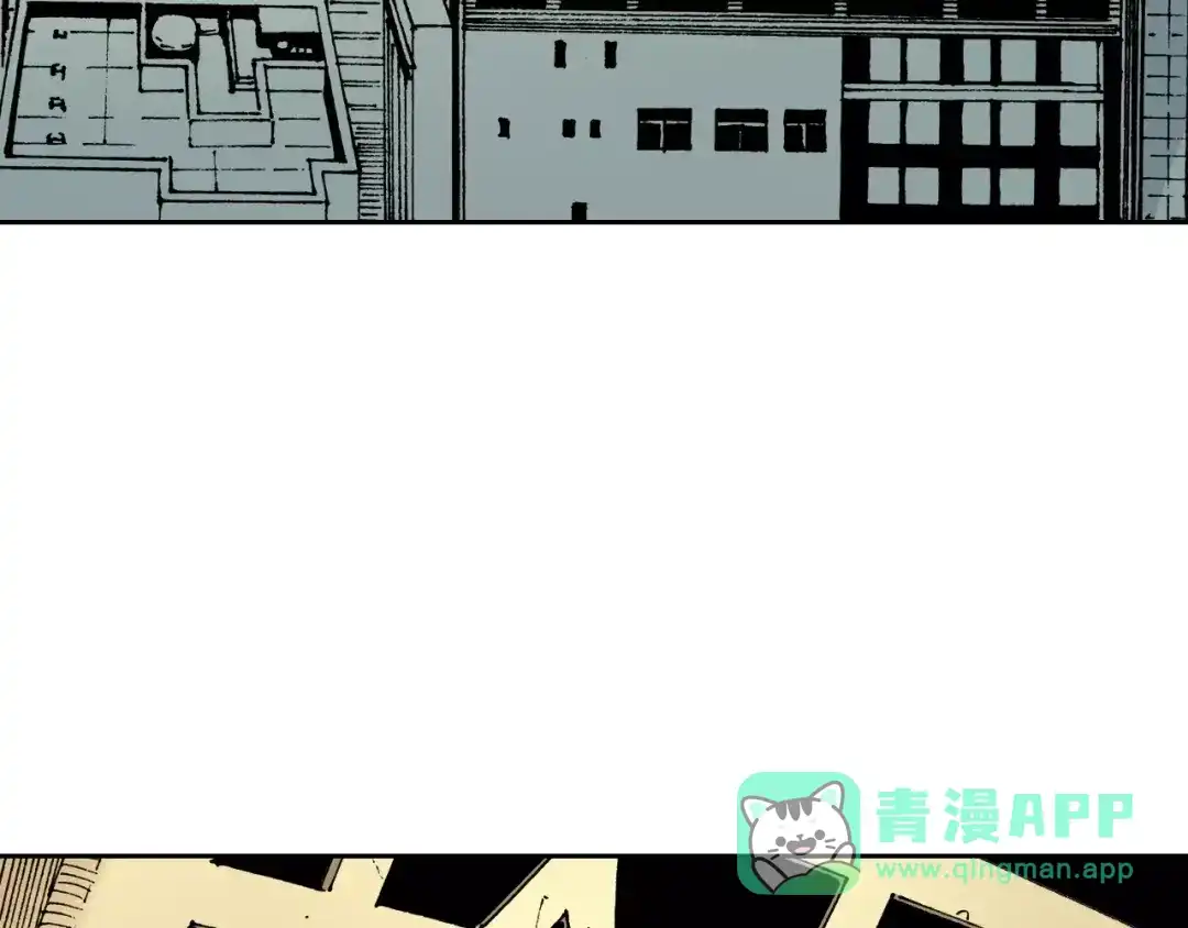 第196页