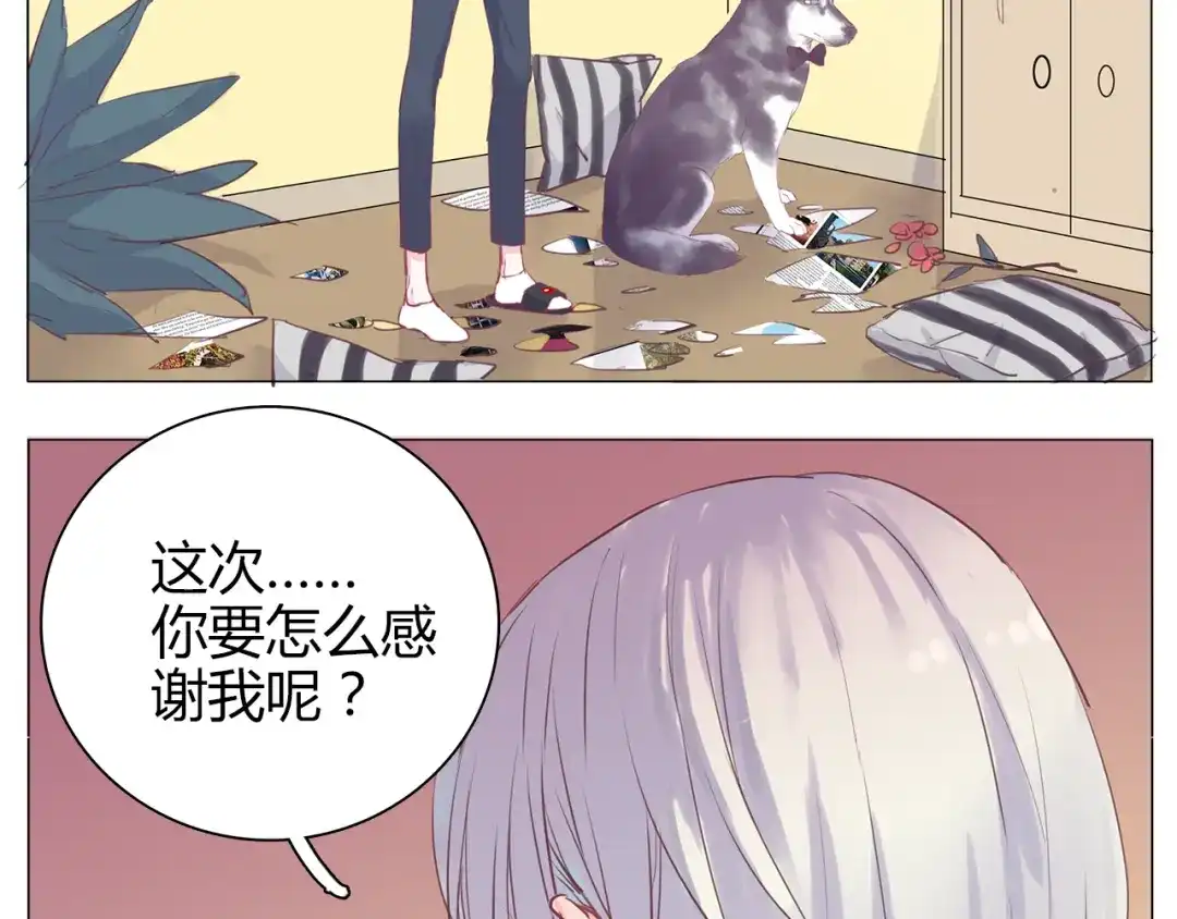 第55页