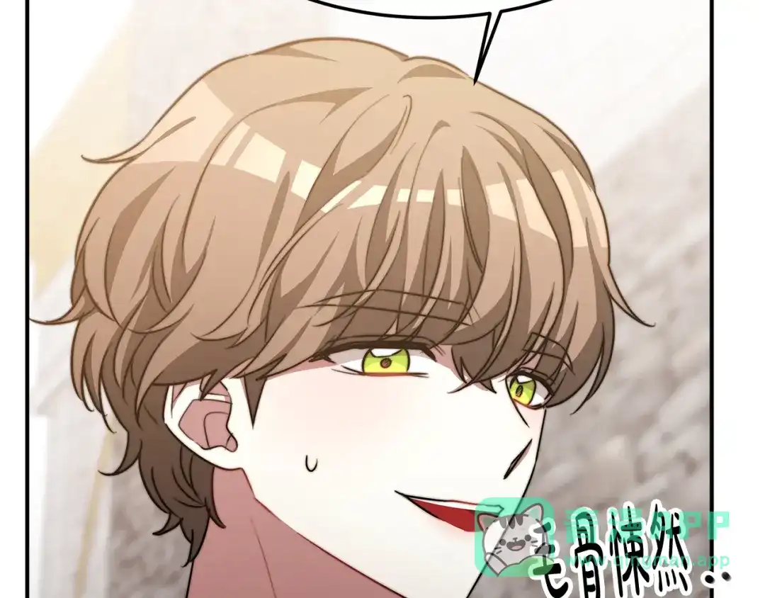 第196页