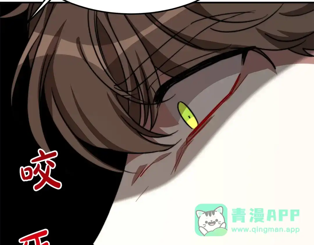 第191页