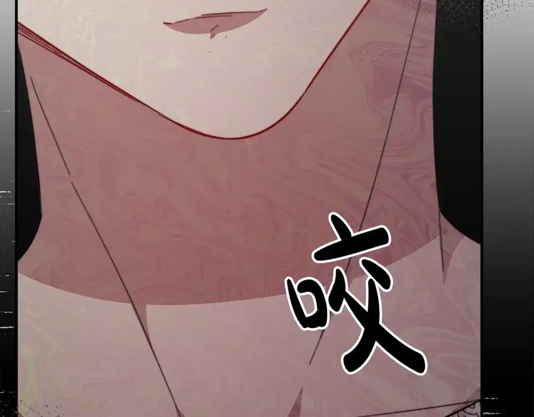 第204页