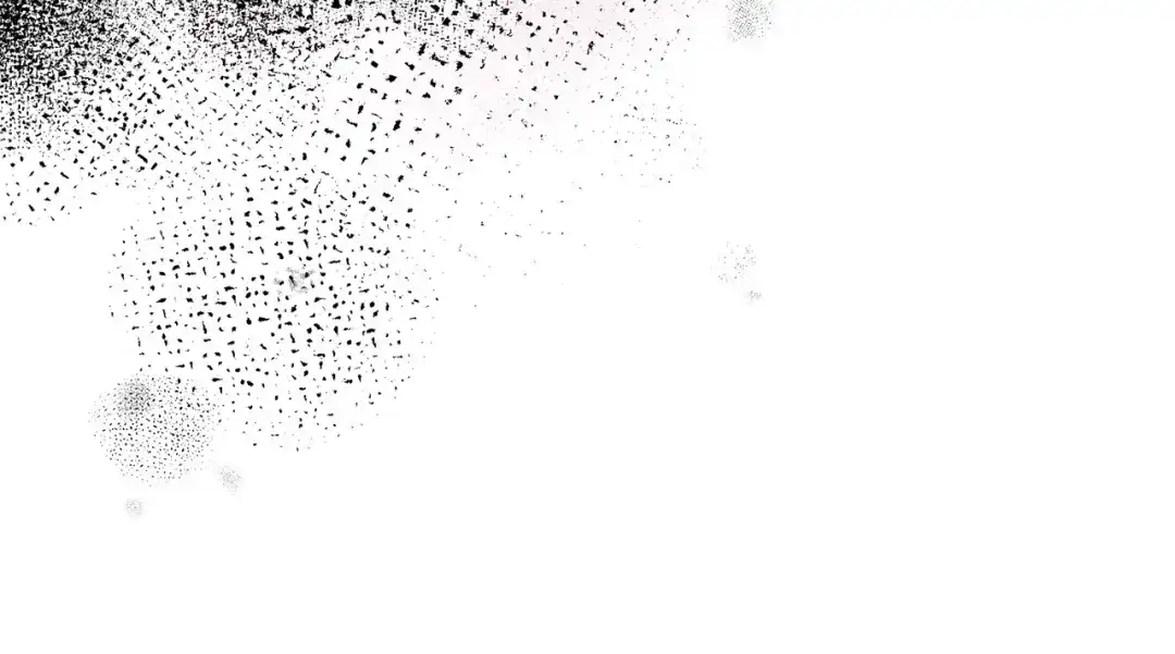 第215页