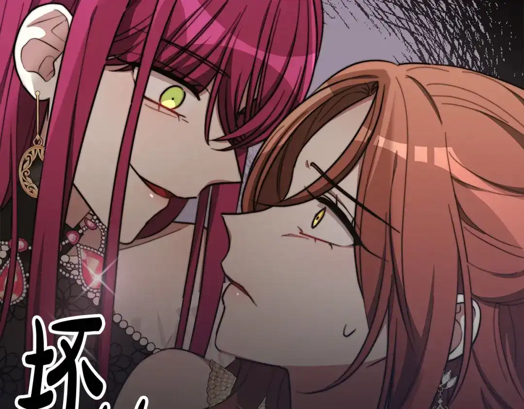 第223页