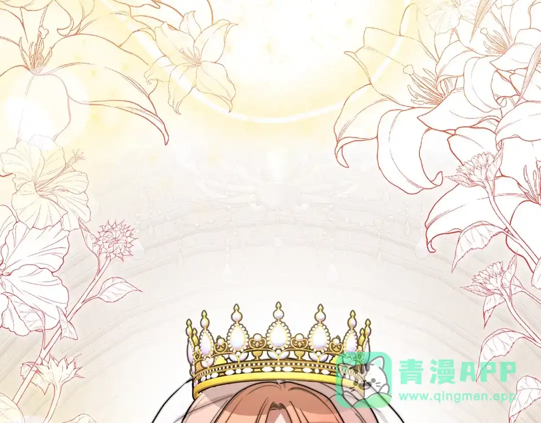 第251页