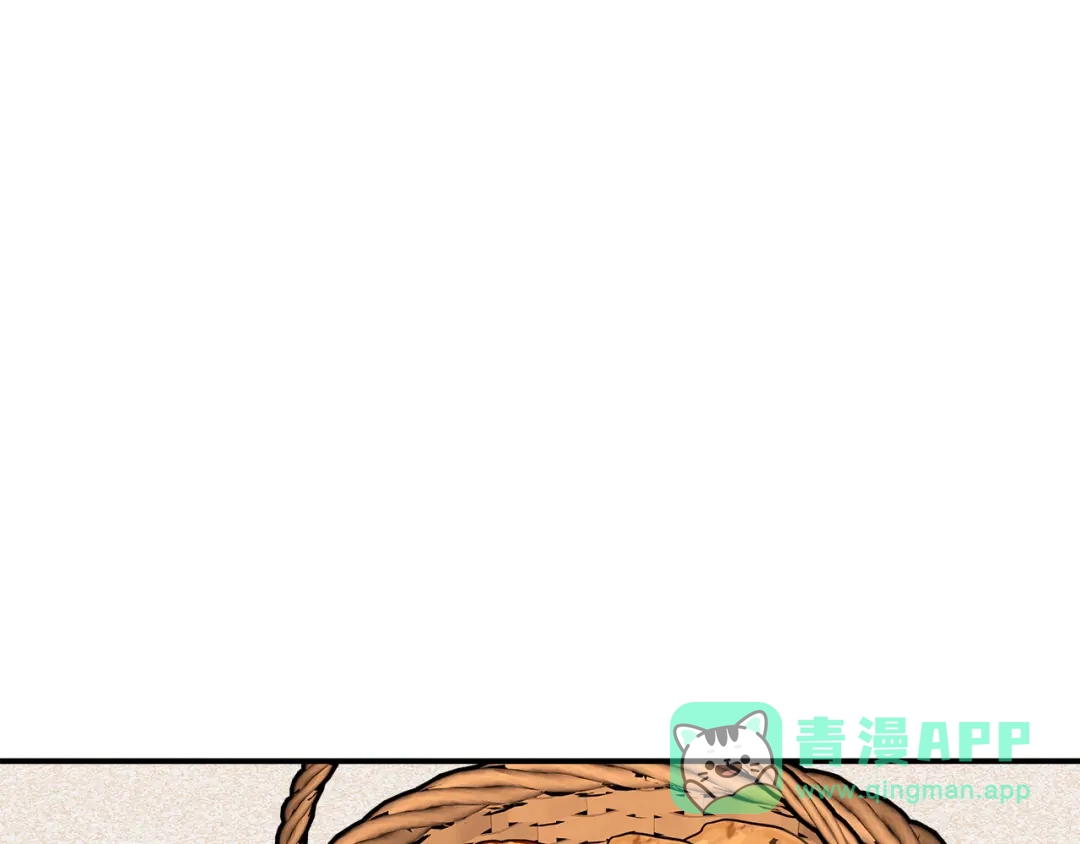 第251页