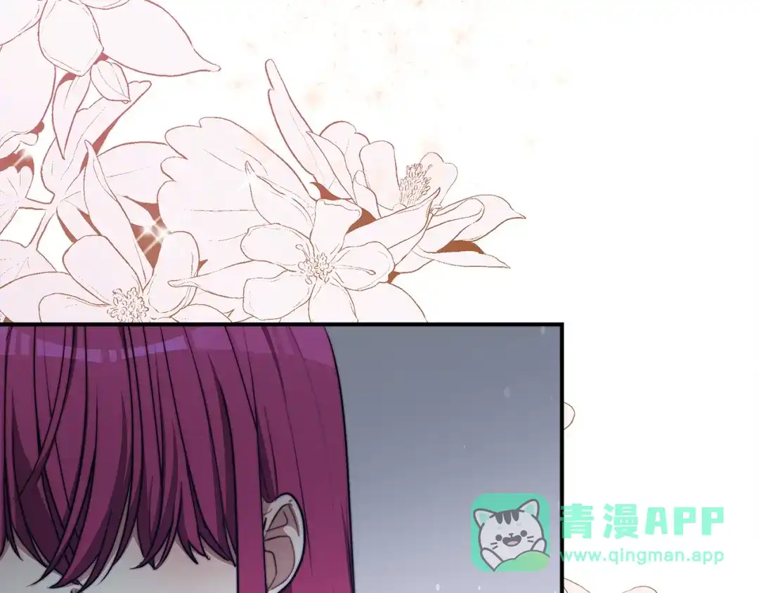 第241页