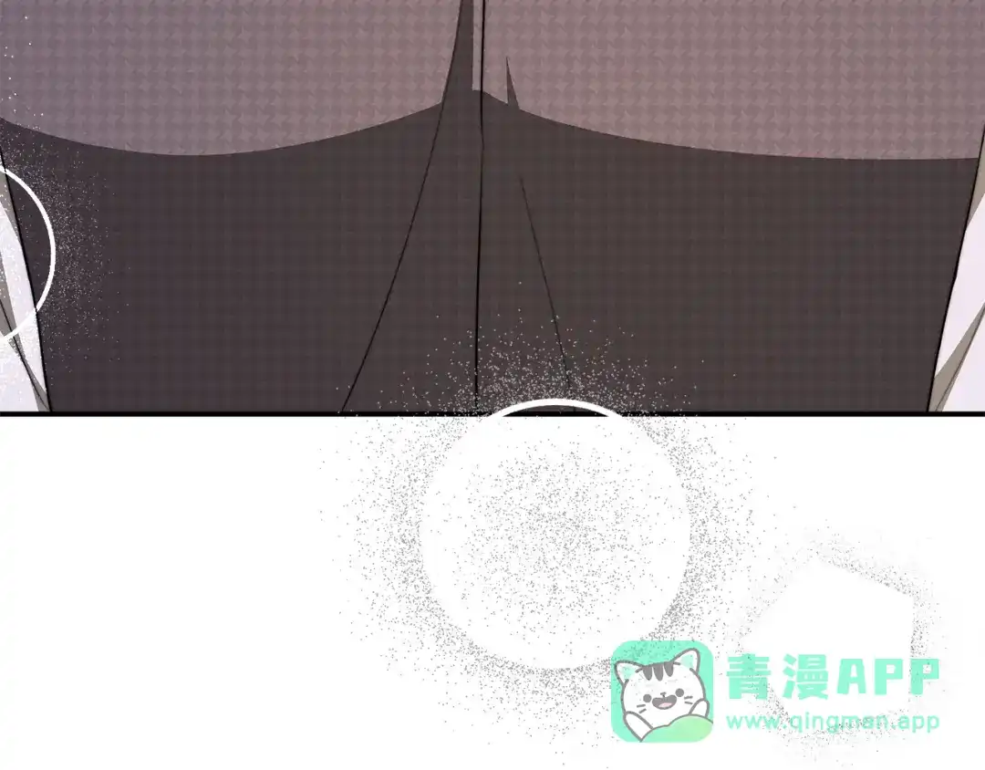第221页