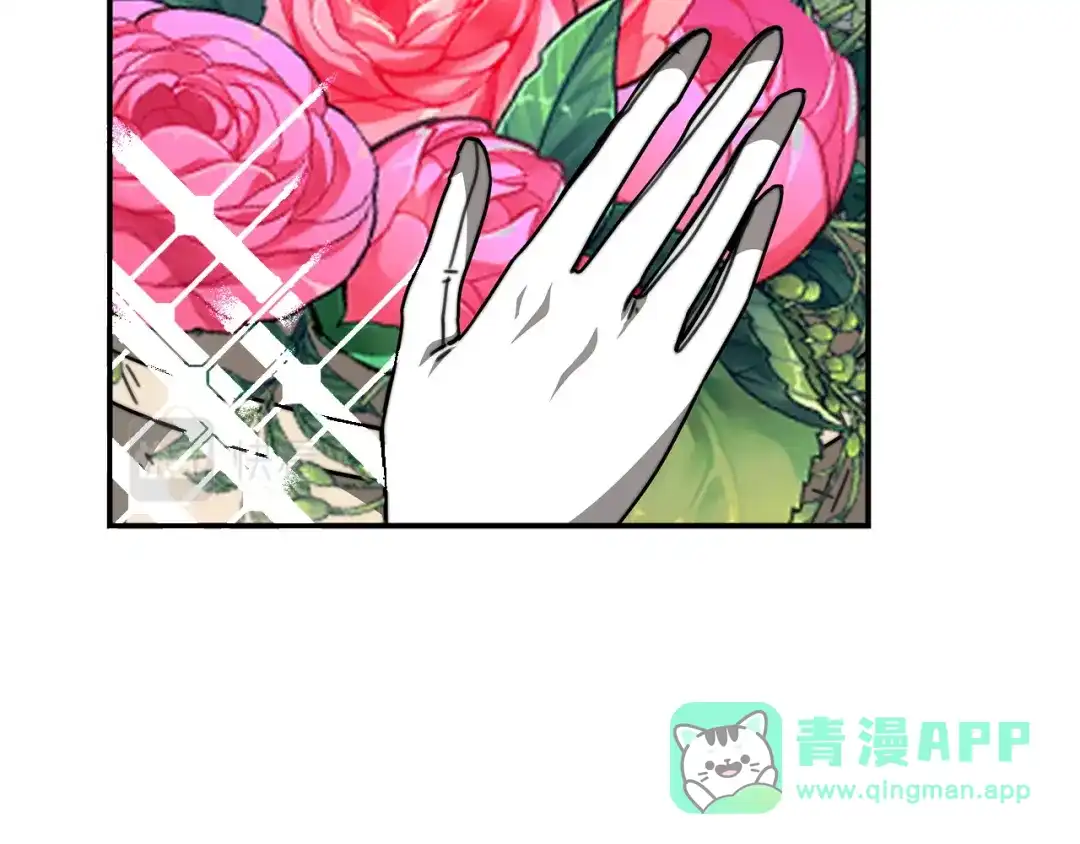 第211页