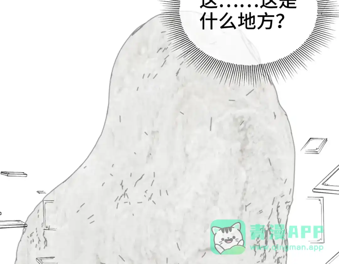 第241页