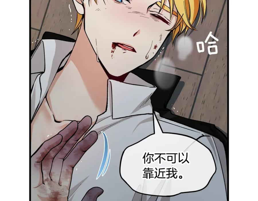 第206页